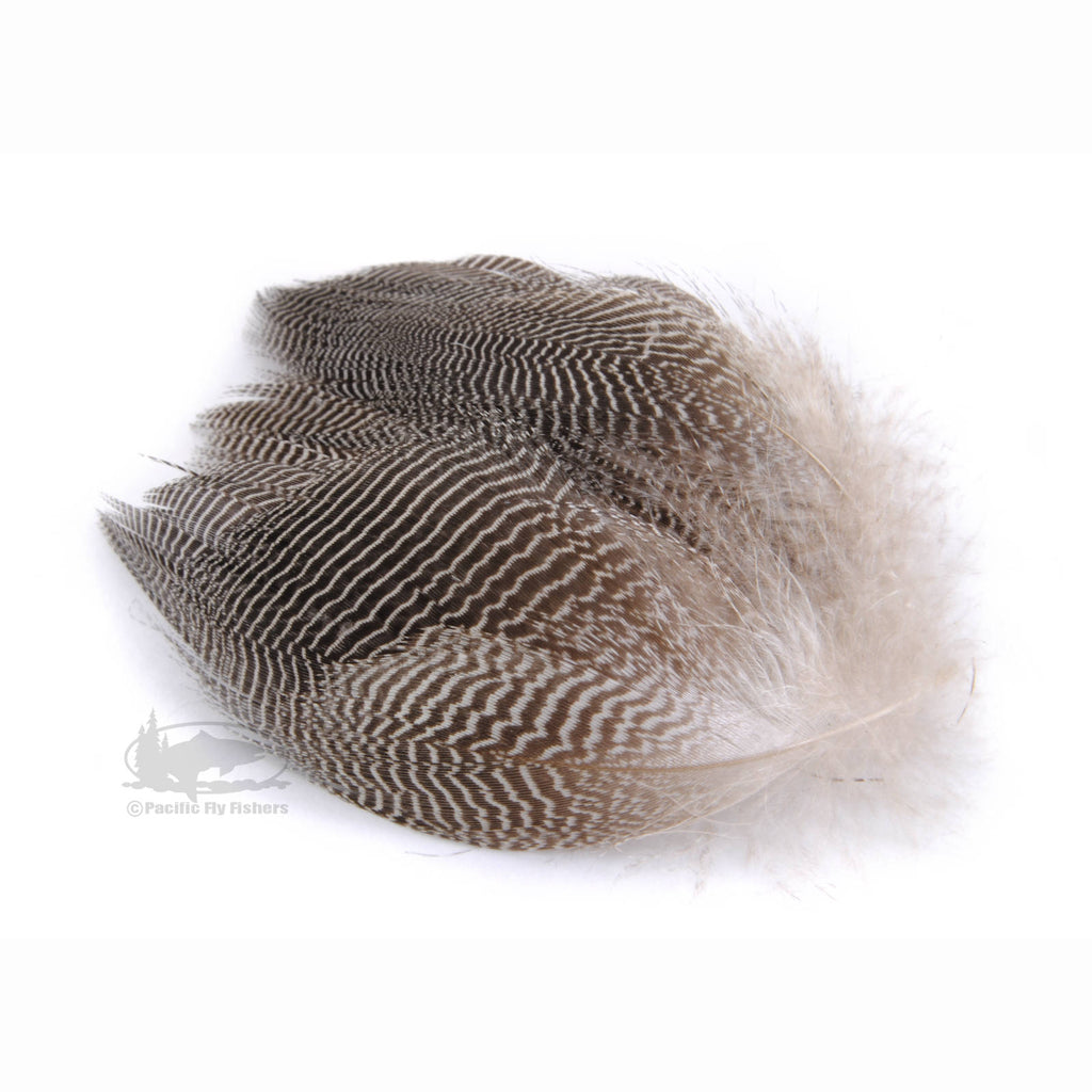 Select Teal Barred Flank Feathers - Fly Tying Materials