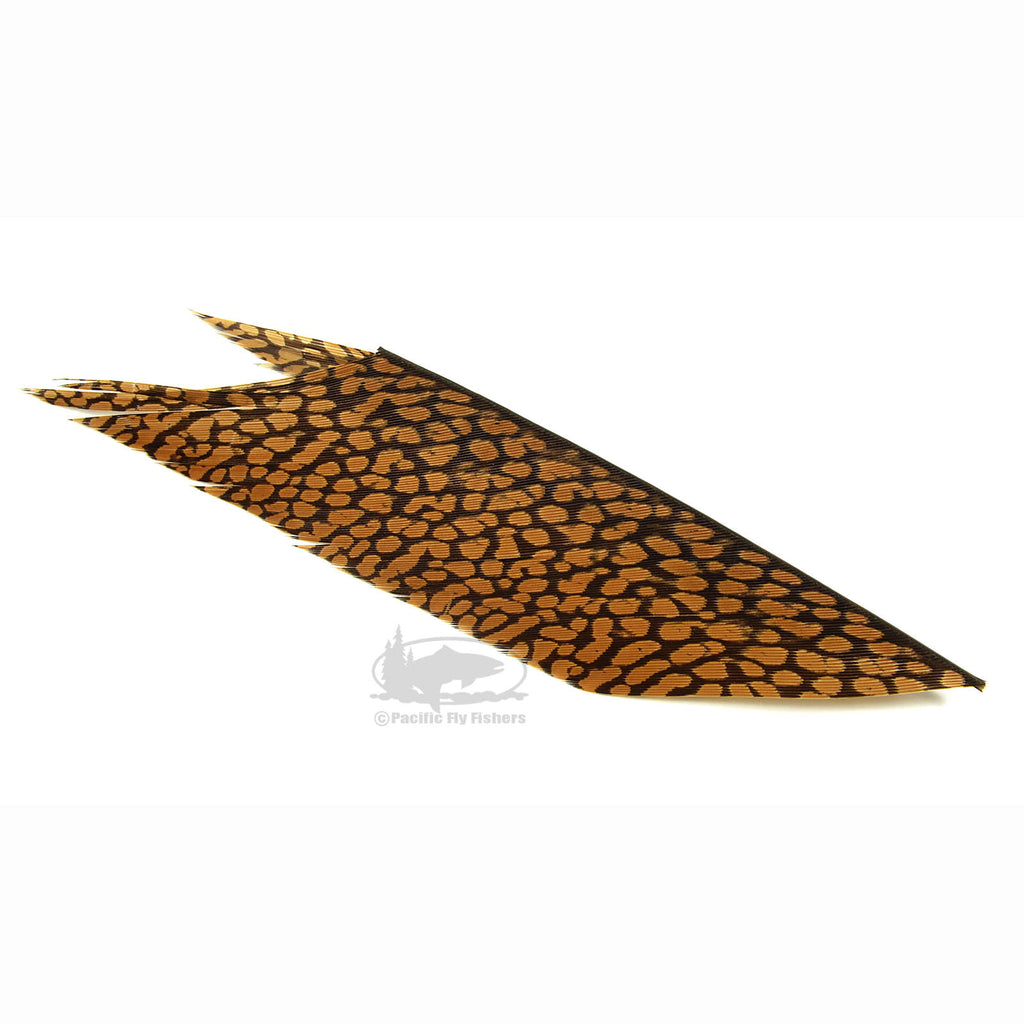 Golden Pheasant Tail Piece - Fly Tying Feathers