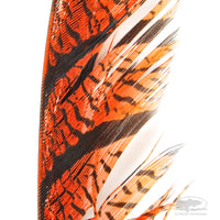 Lady Amherst Center Tail Feathers - Hot Orange - Fly Tying 