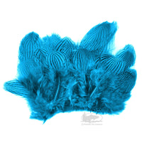 Silver Pheasant Feathers - Kingfisher Blue - Fly Tying