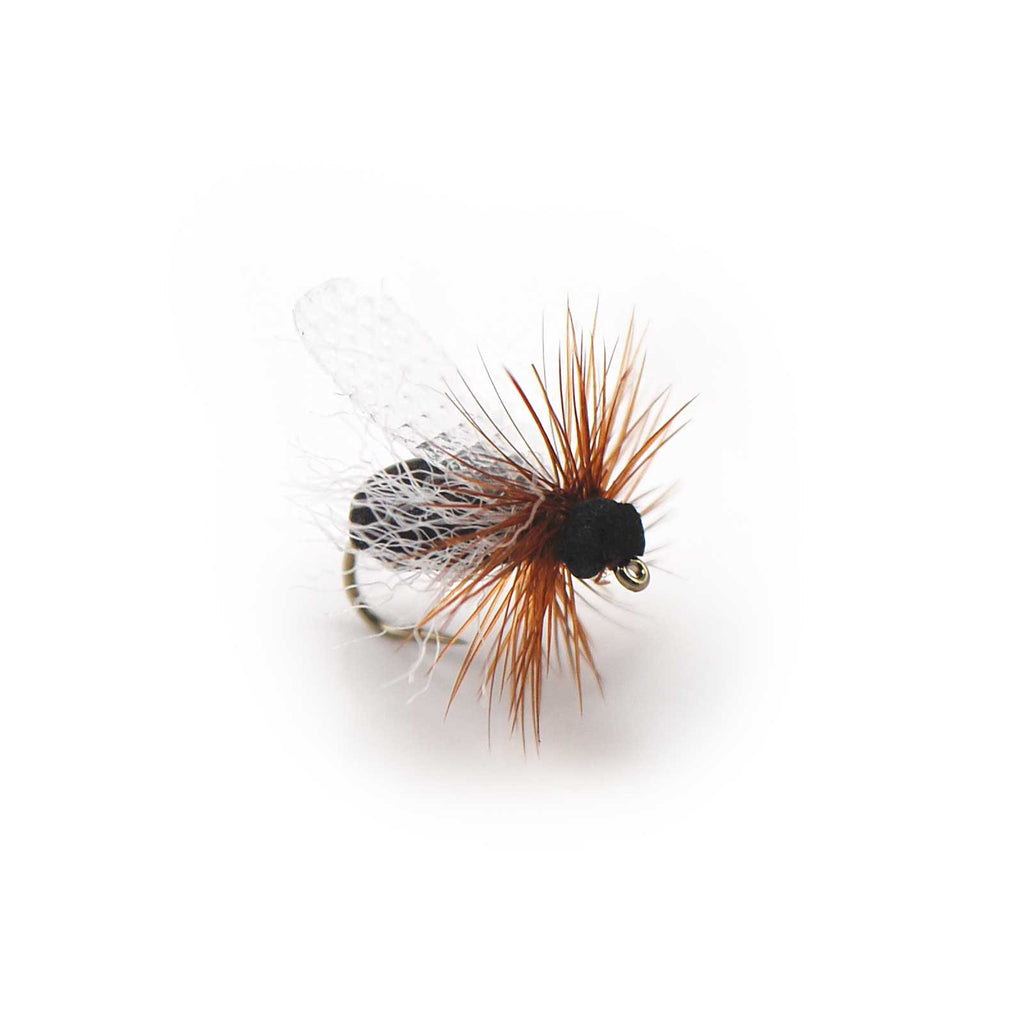 Foam Flying Ant - Pacific Fly Fishers