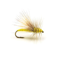 Henry's Fork Yellow Sally