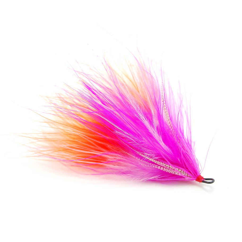 River Rat Squid - Pink/Orange