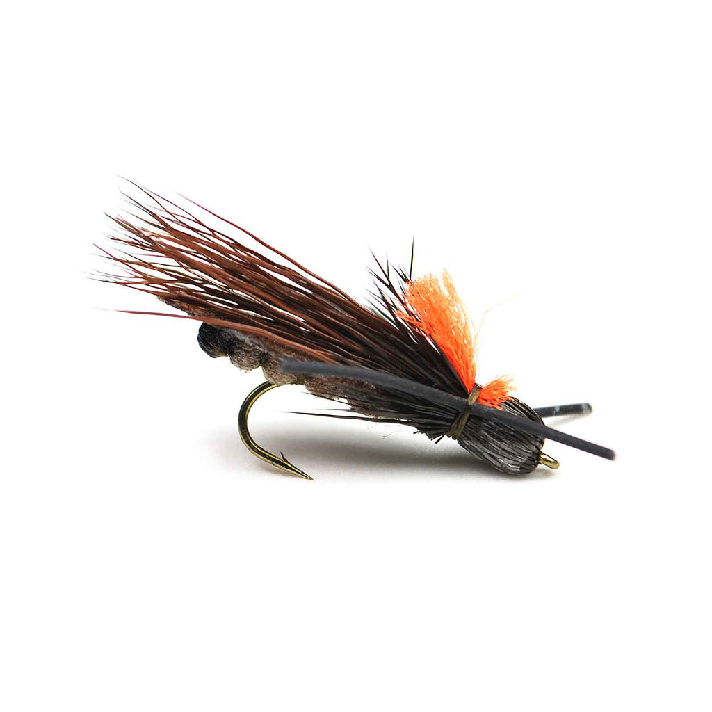 Rogue Foam Stone - Skwala