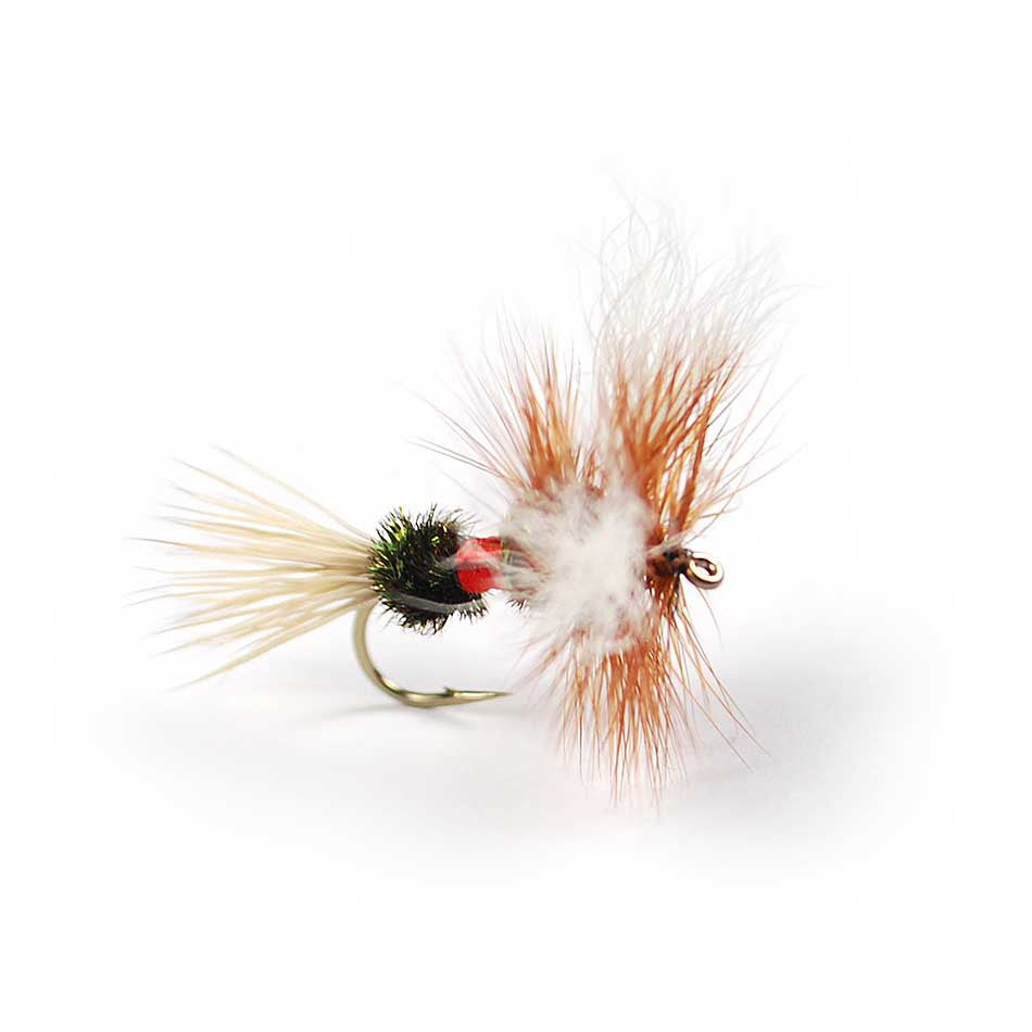 that fish love to pounce on