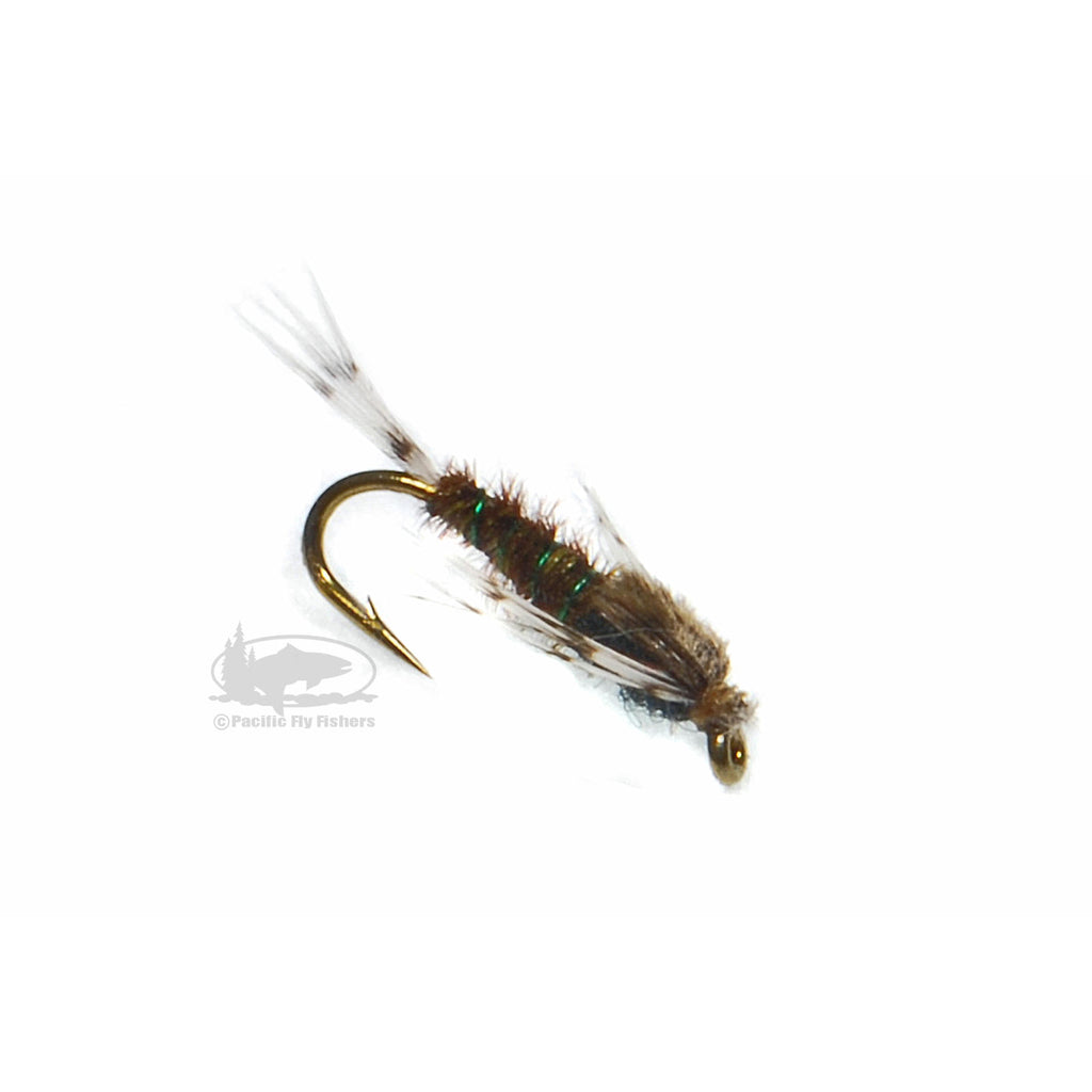 Baetis Nymph  Pacific Fly Fishers