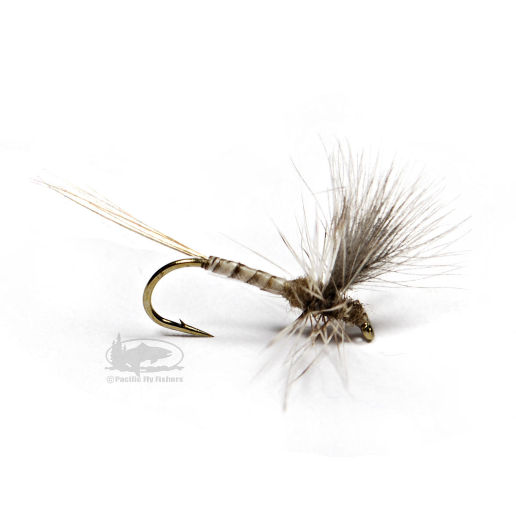 CDC Thorax Callibaetis Dry Fly