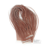 Chicone's Barred Crusher Legs - Brown/Clear - Regular and Micro