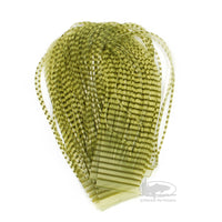 Chicone's Barred Crusher Legs - Olive/Clear - Regular and Micro