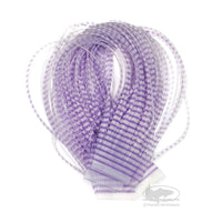 Chicone's Barred Crusher Legs - Purple/Clear - Regular and Micro