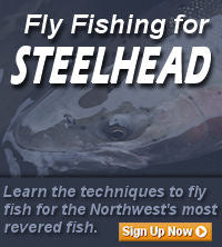 Steelhead Fly Fishing Classes - Pacific Fly Fishers