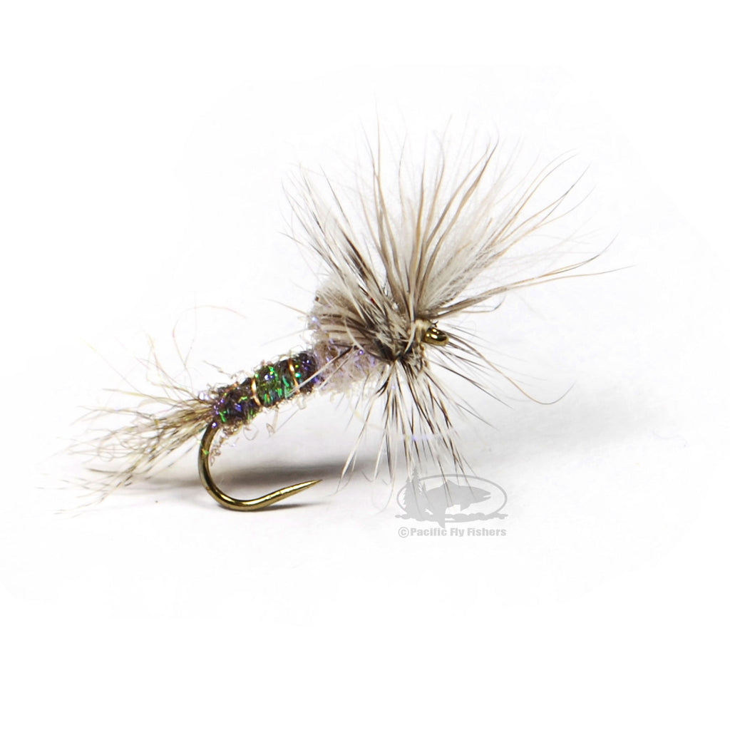 D&D Cripple Callibaetis Mayfly