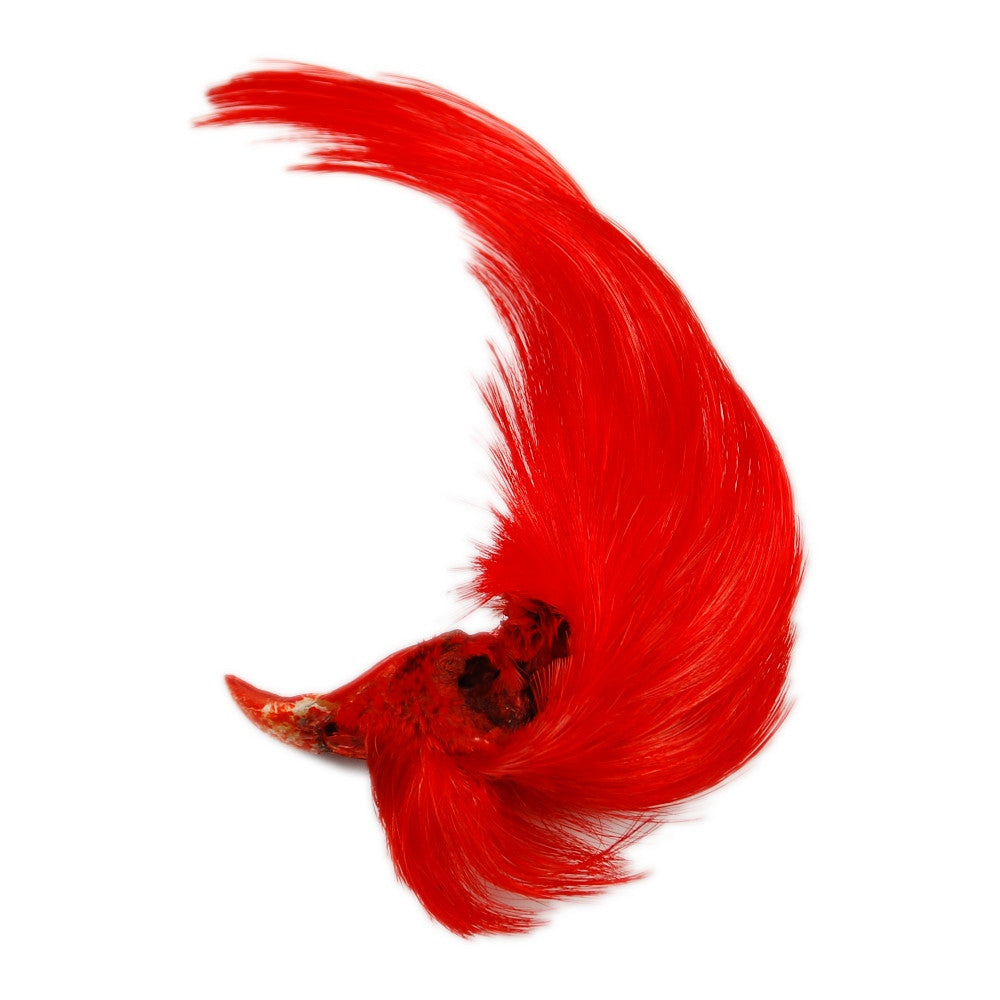 Dyed Golden Pheasant Crests - Hot Orange
