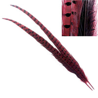 Dyed Ringneck Pheasant Tail - Red