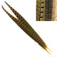 Dyed Ringneck Pheasant Tail - Yellow