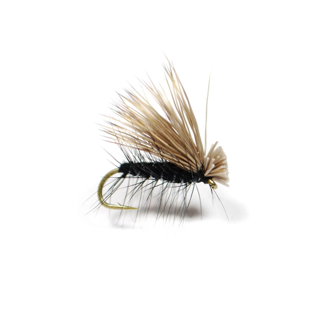 Elk Hair Caddis - Black - Pacific Fly Fishers