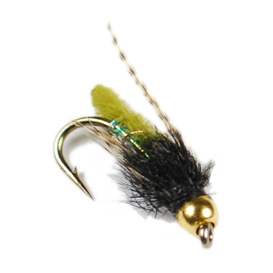 Fox's Caddis Poopah Beadhead - Pacific Fly Fishers