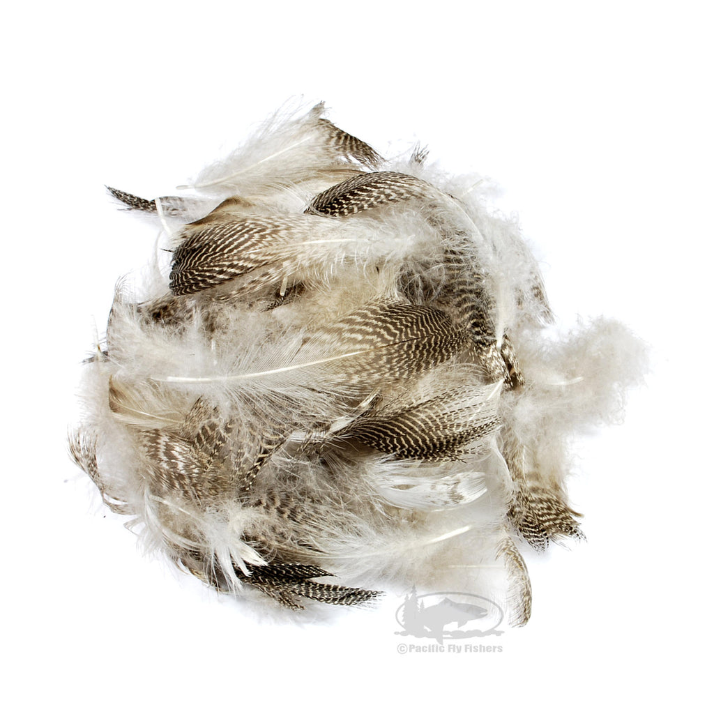 Gadwall Feathers - Fly Tying Materials