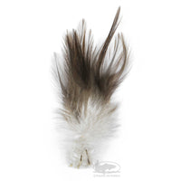 Gallo de Leon Saddle Feathers - Dun - Fly Tying Materials