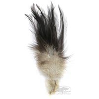 Gallo de Leon Saddle Feathers - Black - Fly Tying Materials