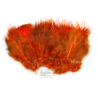 Golden Pheasant Body Feathers - Fluorescent Orange - Fly Tying Materials