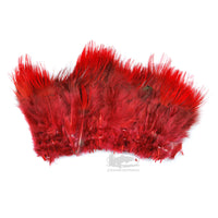 Golden Pheasant Body Feathers - Fluorescent Red - Fly Tying Materials