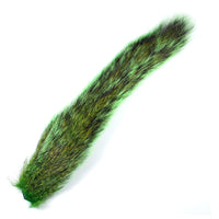 Gray Squirrel Tail - Green