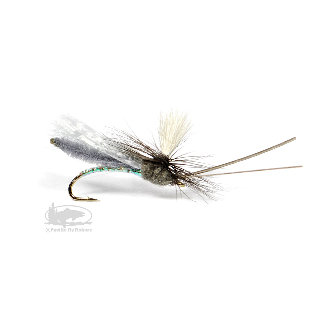 Fly: Headlight Caddis - Gray