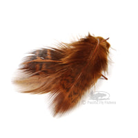 Premium Hungarian Partridge Feathes - Dyed Brown - Fly Tying Materials