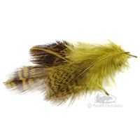 Premium Hungarian Partridge Feathes - Dyed Olive - Fly Tying Materials