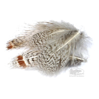 Premium Hungarian Partridge Feathers - Natural - Loose Bag - Fly Tying Materials