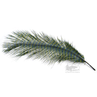 MFC Ostrich Plume - Barred - Olive with Black Barring - Fly Tying Materials