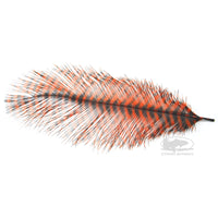 MFC Ostrich Plume - Barred - Orange with Black Barring - Fly Tying Materials