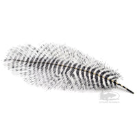 MFC Ostrich Plume - Barred - White with Black Barring - Fly Tying Materials