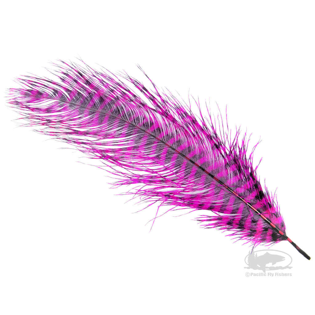 MFC Ostrich Plumes - Barred