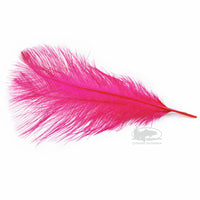 MFC Ostrich Plumes - Fluorescent Pink - Select Steelhead Spey Intruder Feathers - Fly Tying Materials