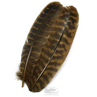 Ozark Turkey Barred Wing Quills - Dyed Stonefly Brown