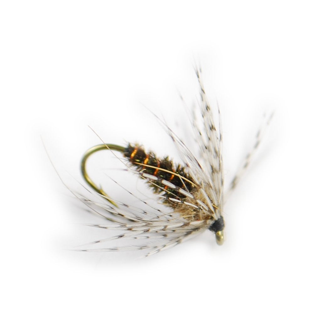 Partridge and Peacock Soft Hackle