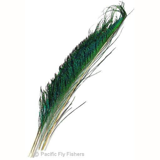 Peacock Sword - Pacific Fly Fishers
