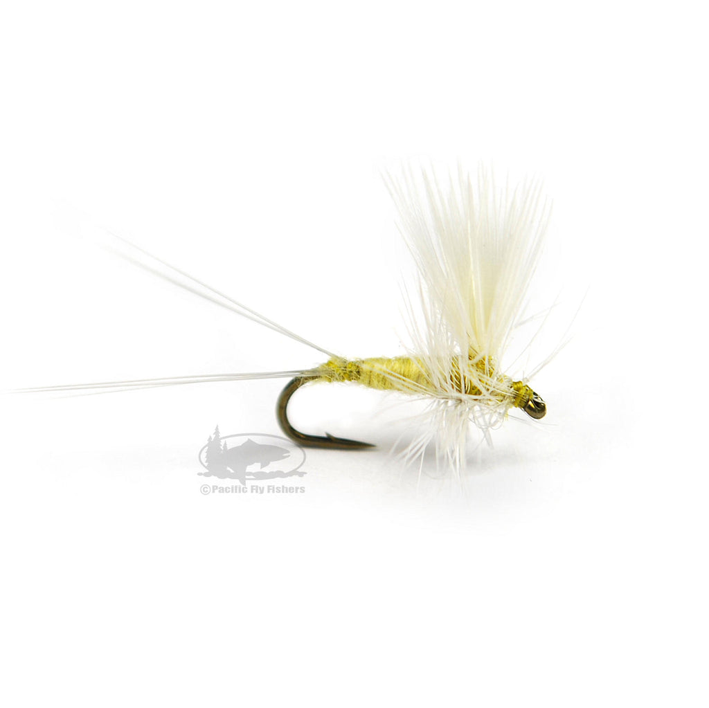PMD Thorax - Pale Morning Dun - Fly Fishing Dry Flies