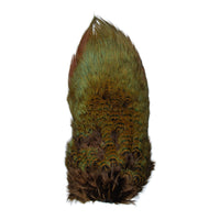 Ringneck Pheasant Rump - Chocolate Brown