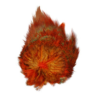 Ringneck Pheasant Rump - Orange