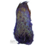 Ringneck Pheasant Rump Patch - Purple - Fly Tying Materials
