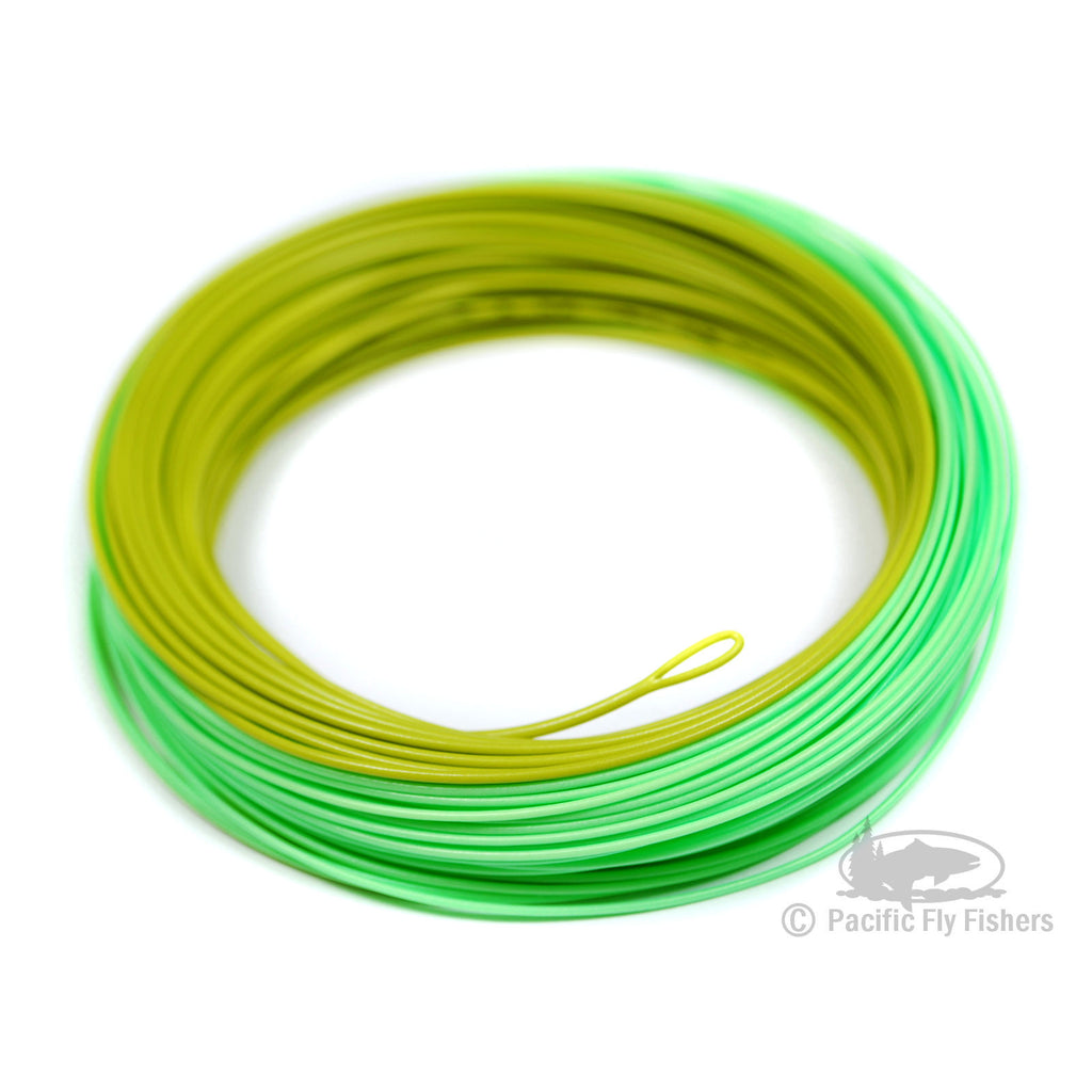  Yellow Floating 8F WF Fly Fishing Line Kit 8WT Fly Fishing  Line Leader Braided Backing Fish Line