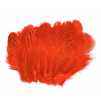 Silver Pheasant Feathers - Hot Orange