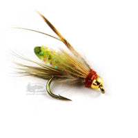 Silvey's Beadhead Pupa - Olive - Bead Head Caddis - Fly Fishing Flies