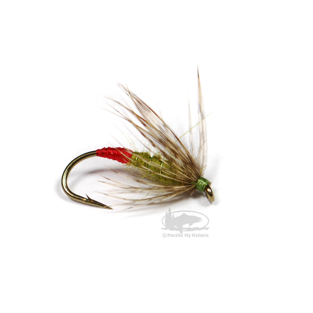 Specter Soft Hackle - Olive