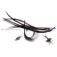 Stripped Goose Biots - Pacific Fly Fishers