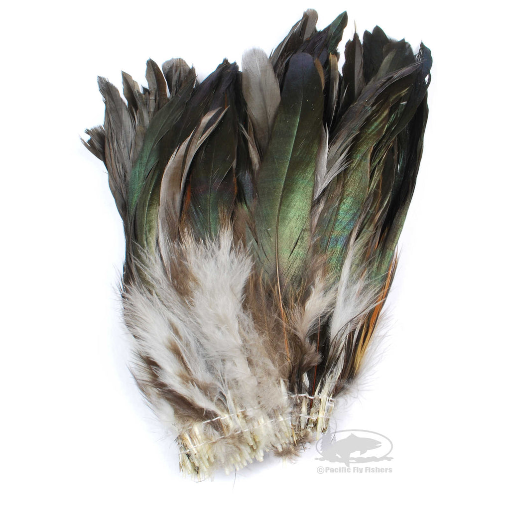 Iridescent Black Strung Schlappen