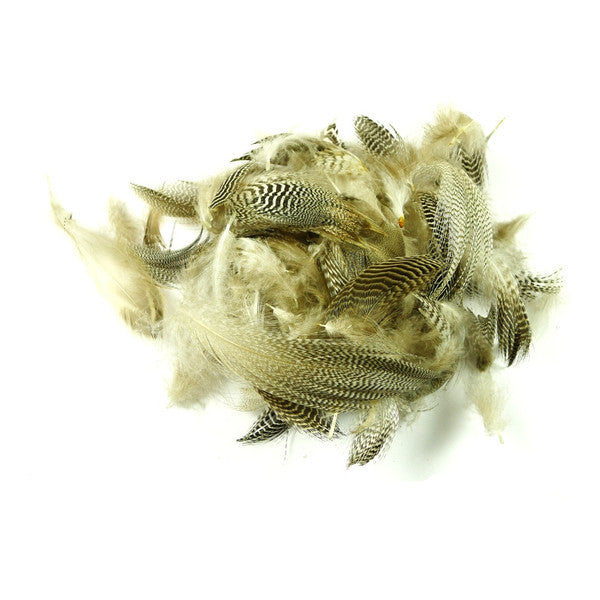 Teal Flank Feathers - Natural